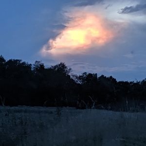 Meet your Posher, Joni